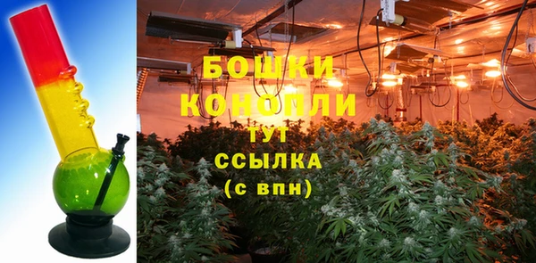 PSILOCYBIN Баксан