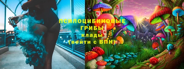 PSILOCYBIN Баксан