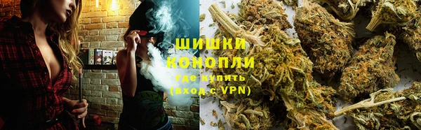 PSILOCYBIN Баксан